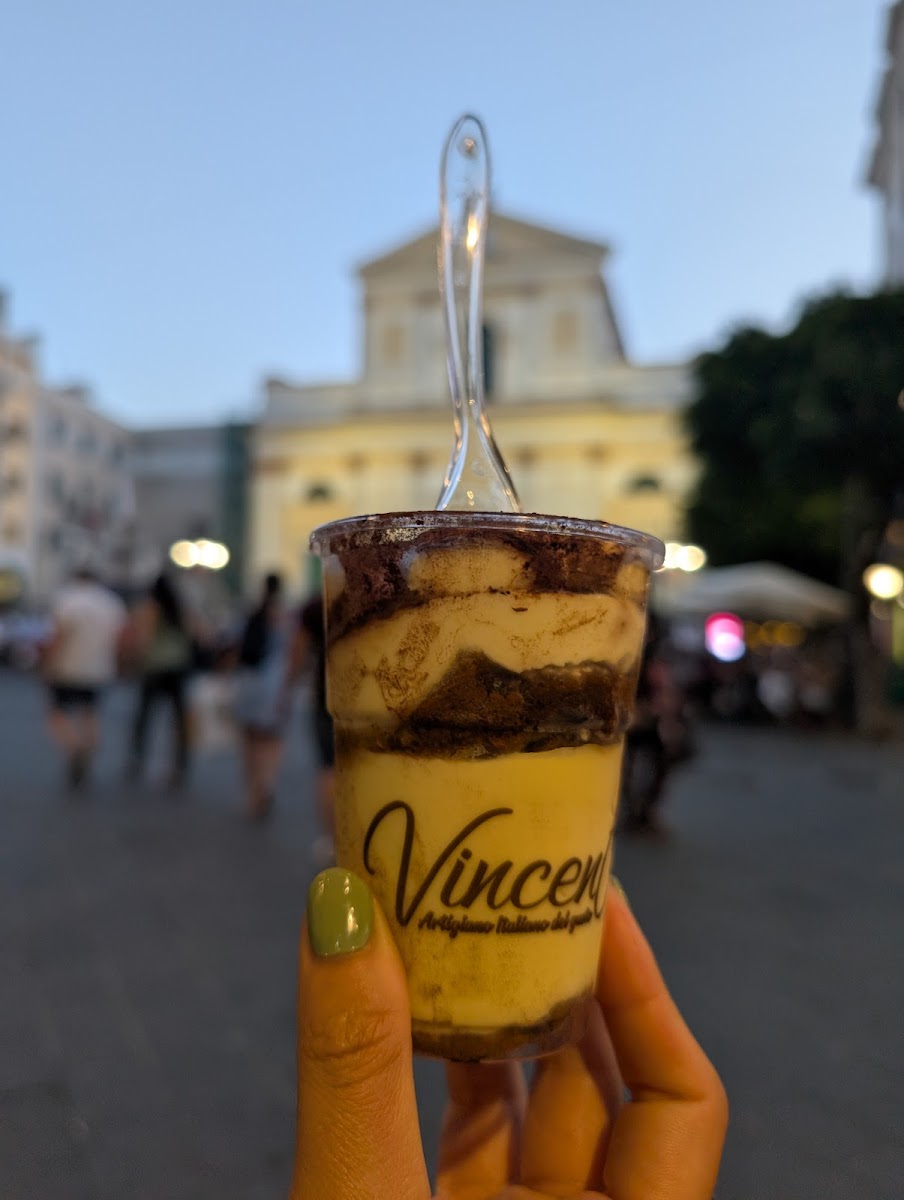 Vincent Gelateria Yogurteria Torteria Photos 2